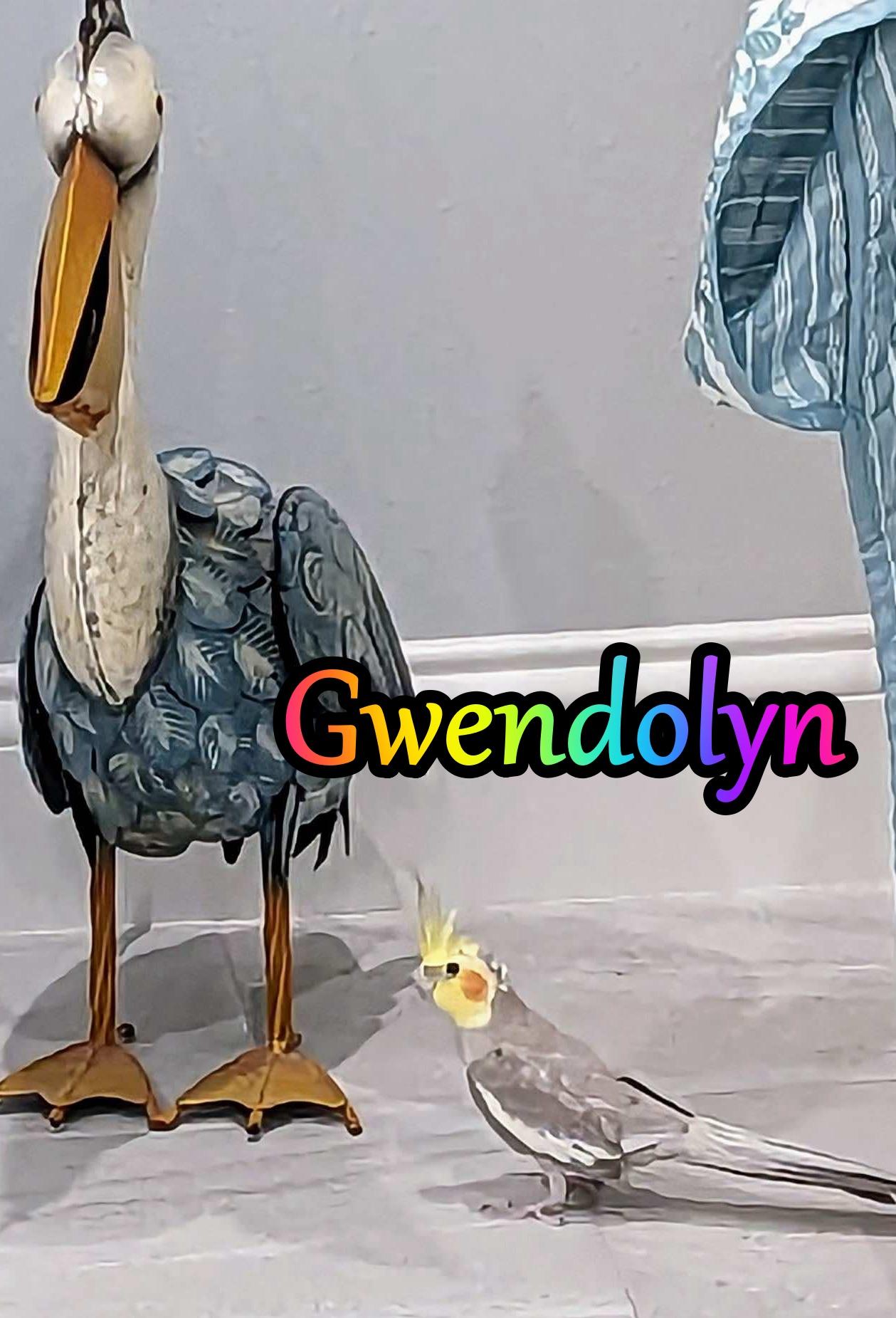 Enlarge Gwendolyn, a Adoptable Cockatiel in Summerfield, FL image 1/1