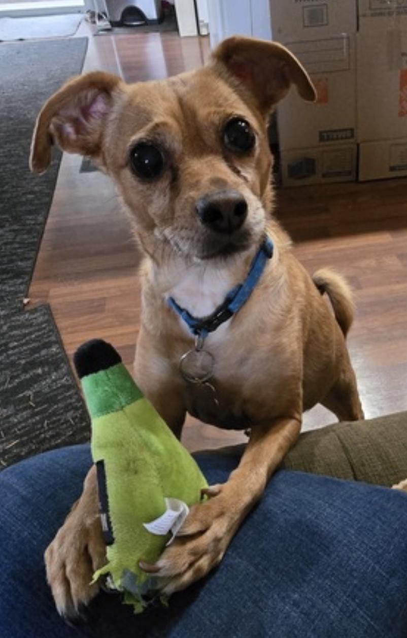 Duncan — thumbnail 2