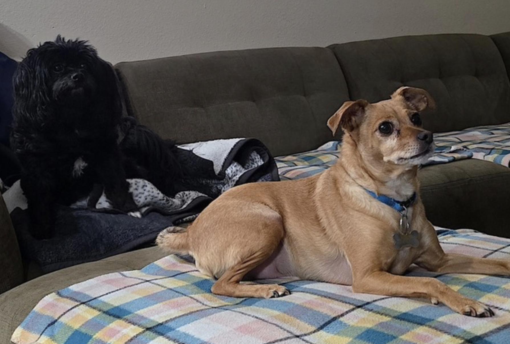 Duncan — thumbnail 5