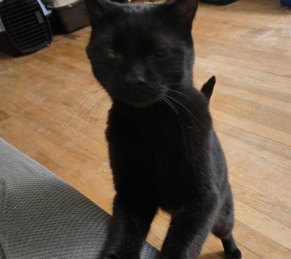 Butch Reed *IN FOSTER*