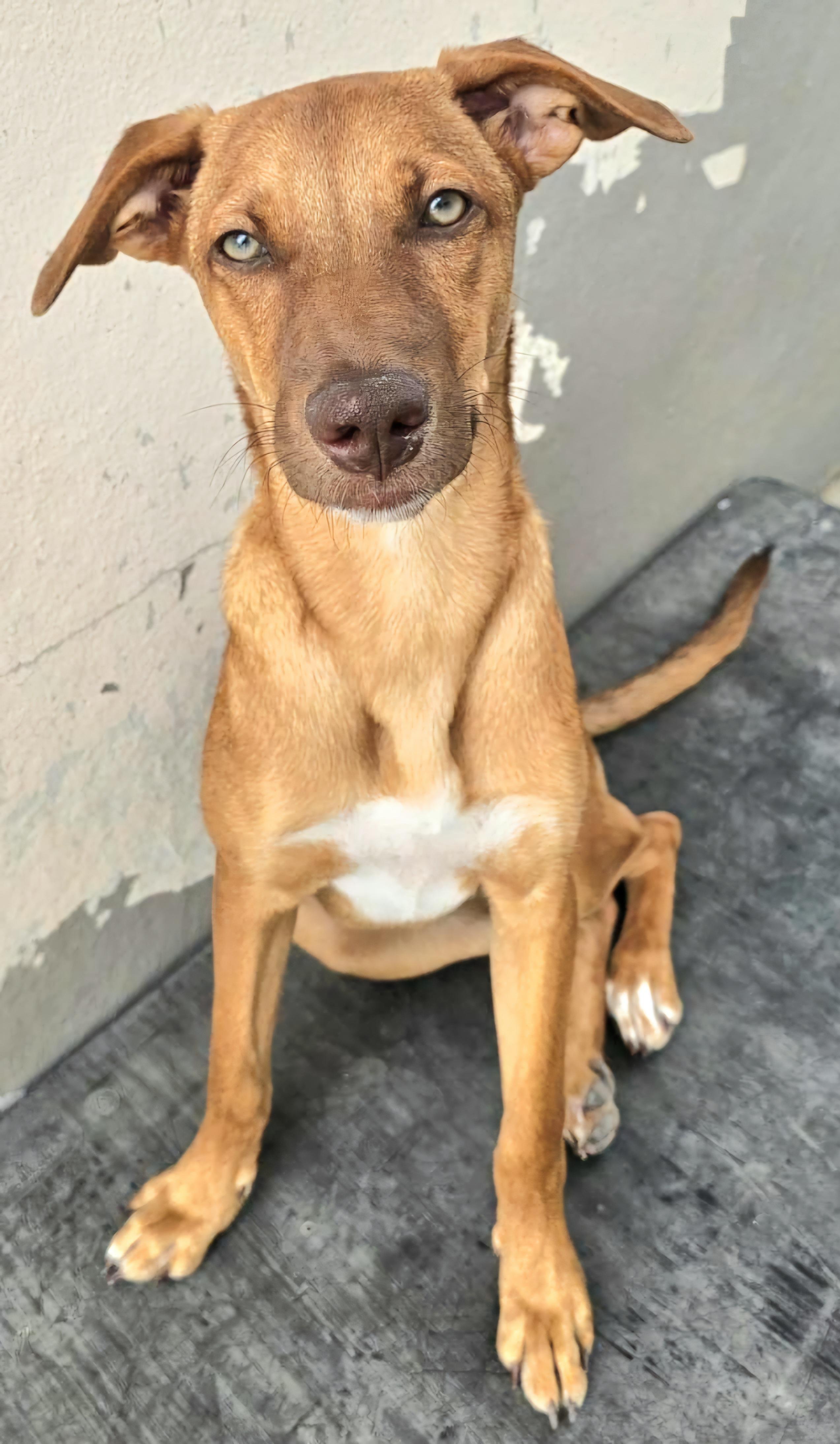 Laila Faye "my Love thumbnail 2