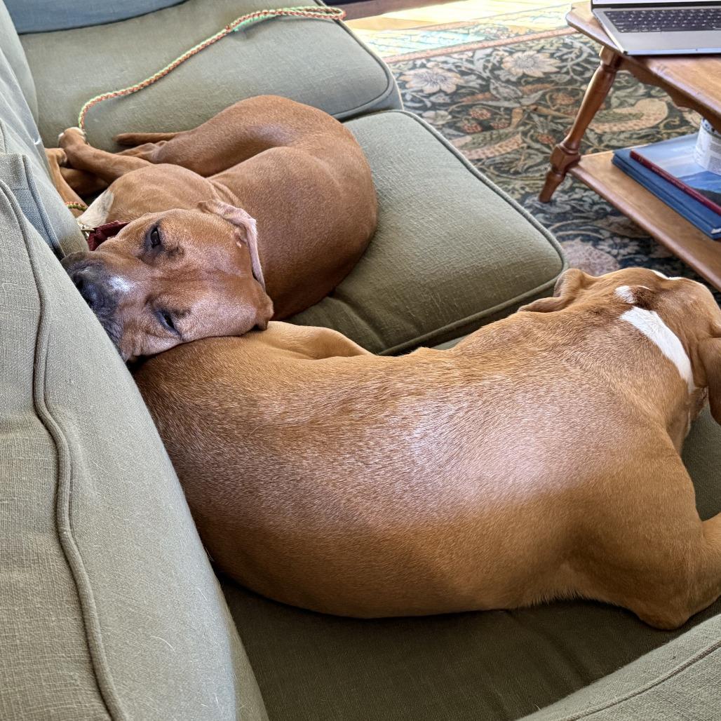 Tomlin — thumbnail 2