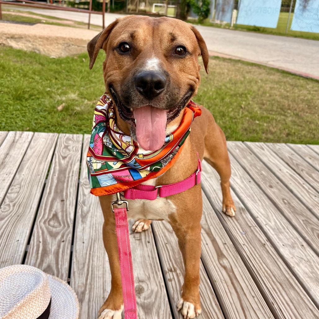 Tomlin — thumbnail 3