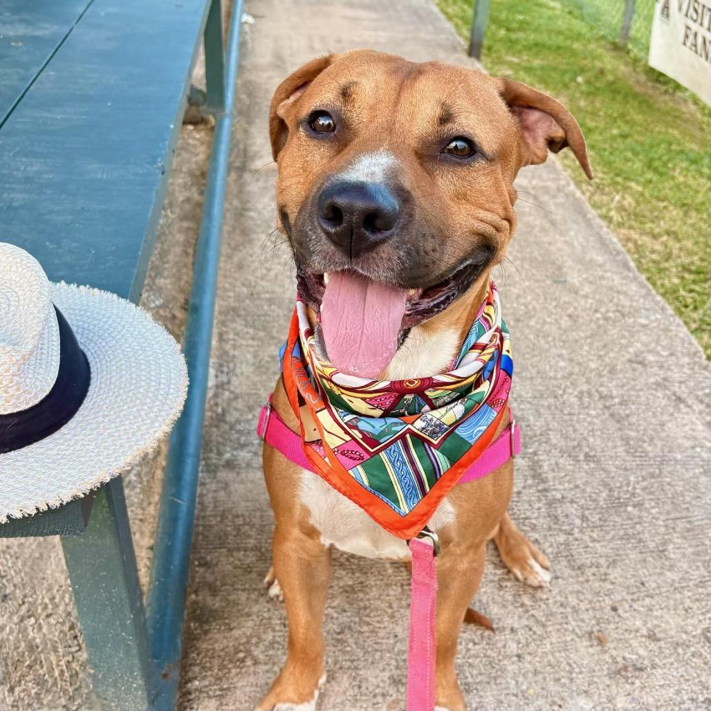 Tomlin — thumbnail 5