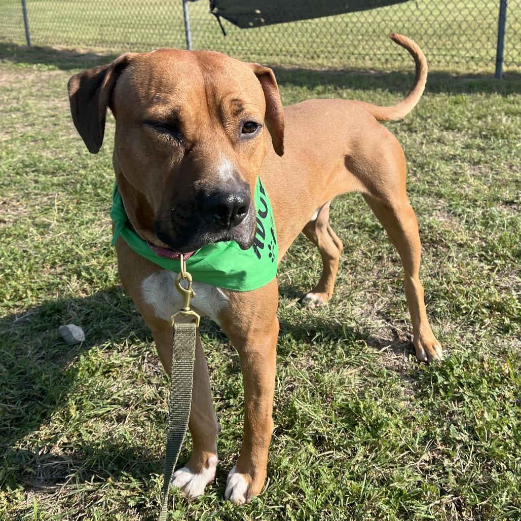 Tomlin — thumbnail 6