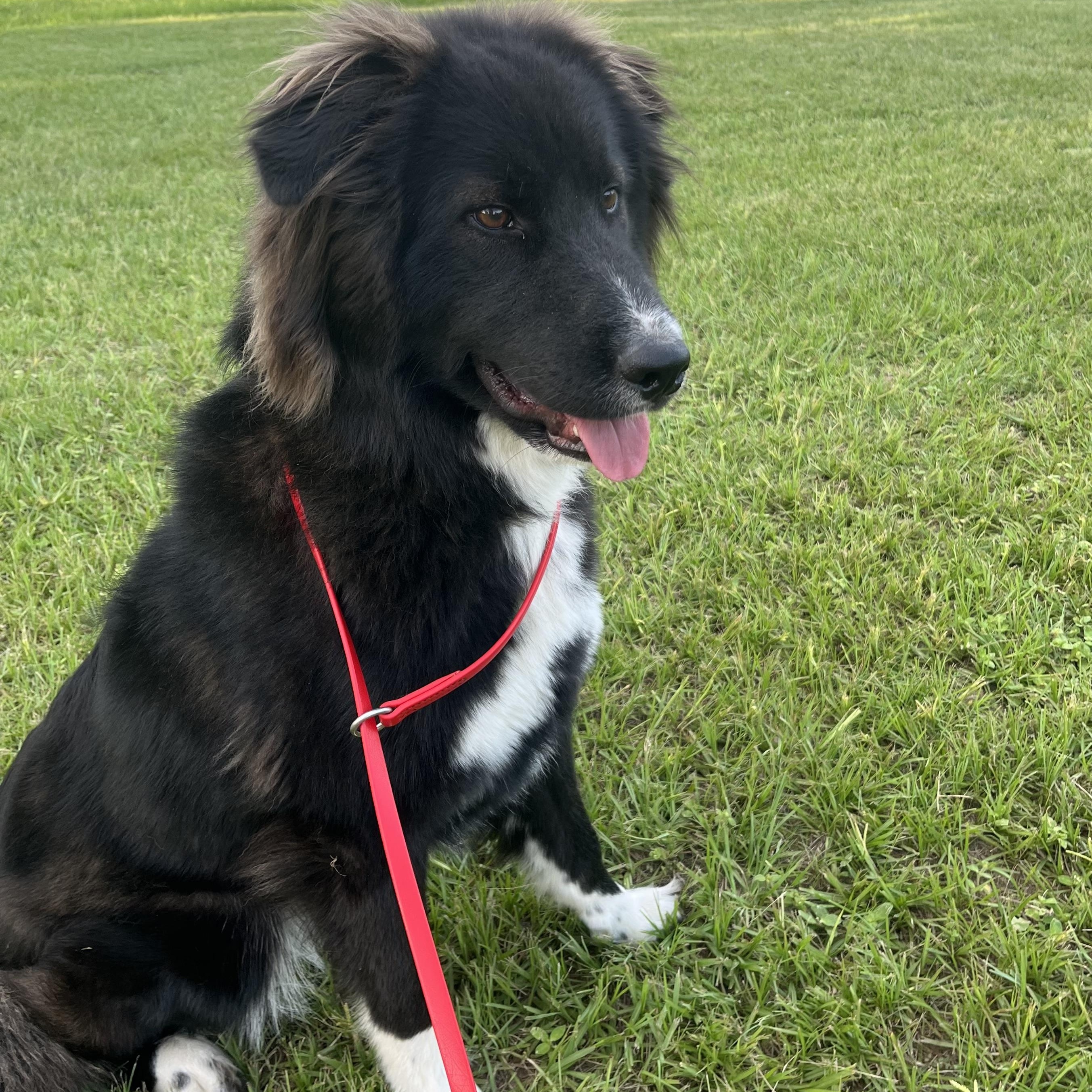 Nash