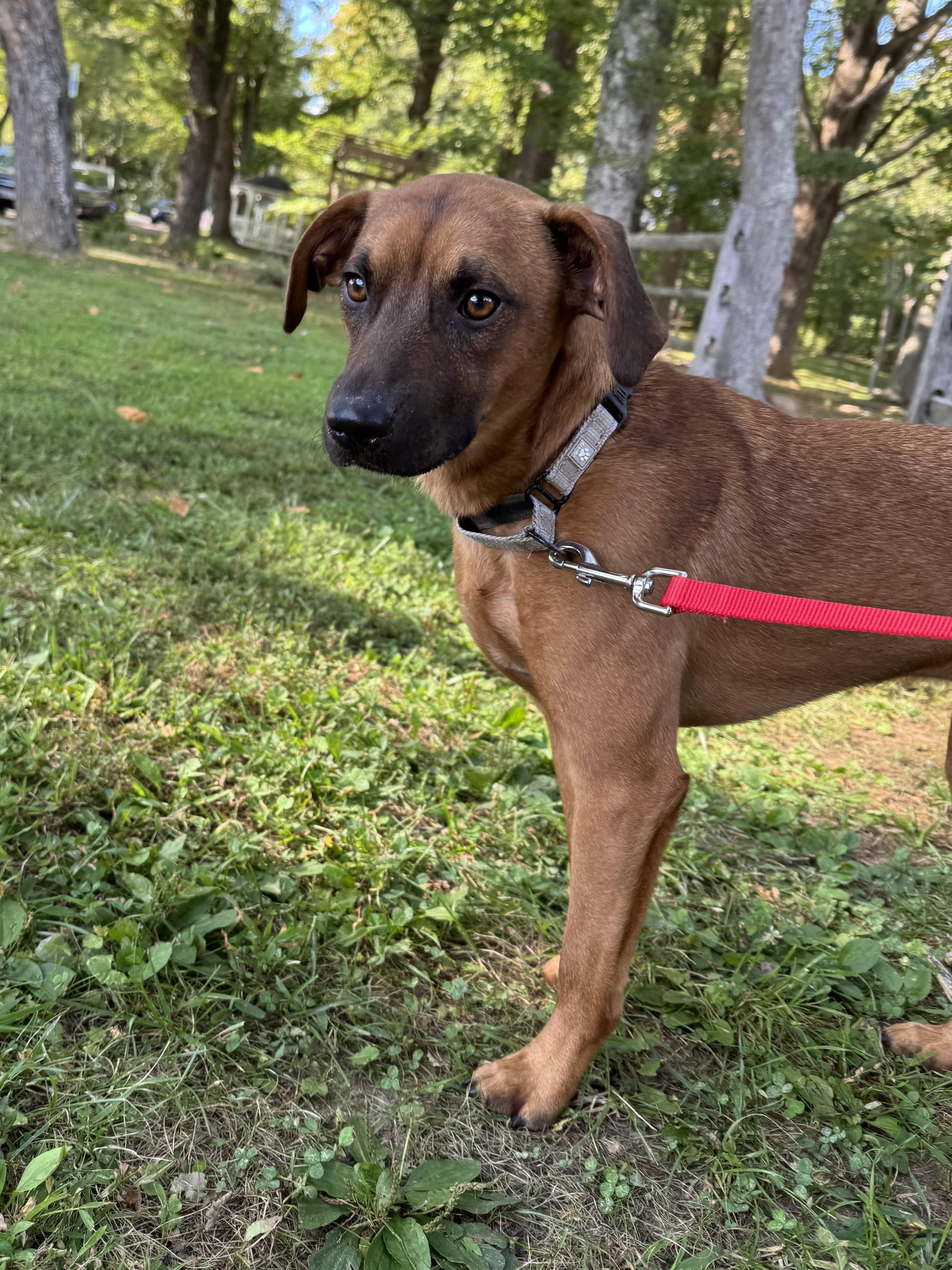 Ted