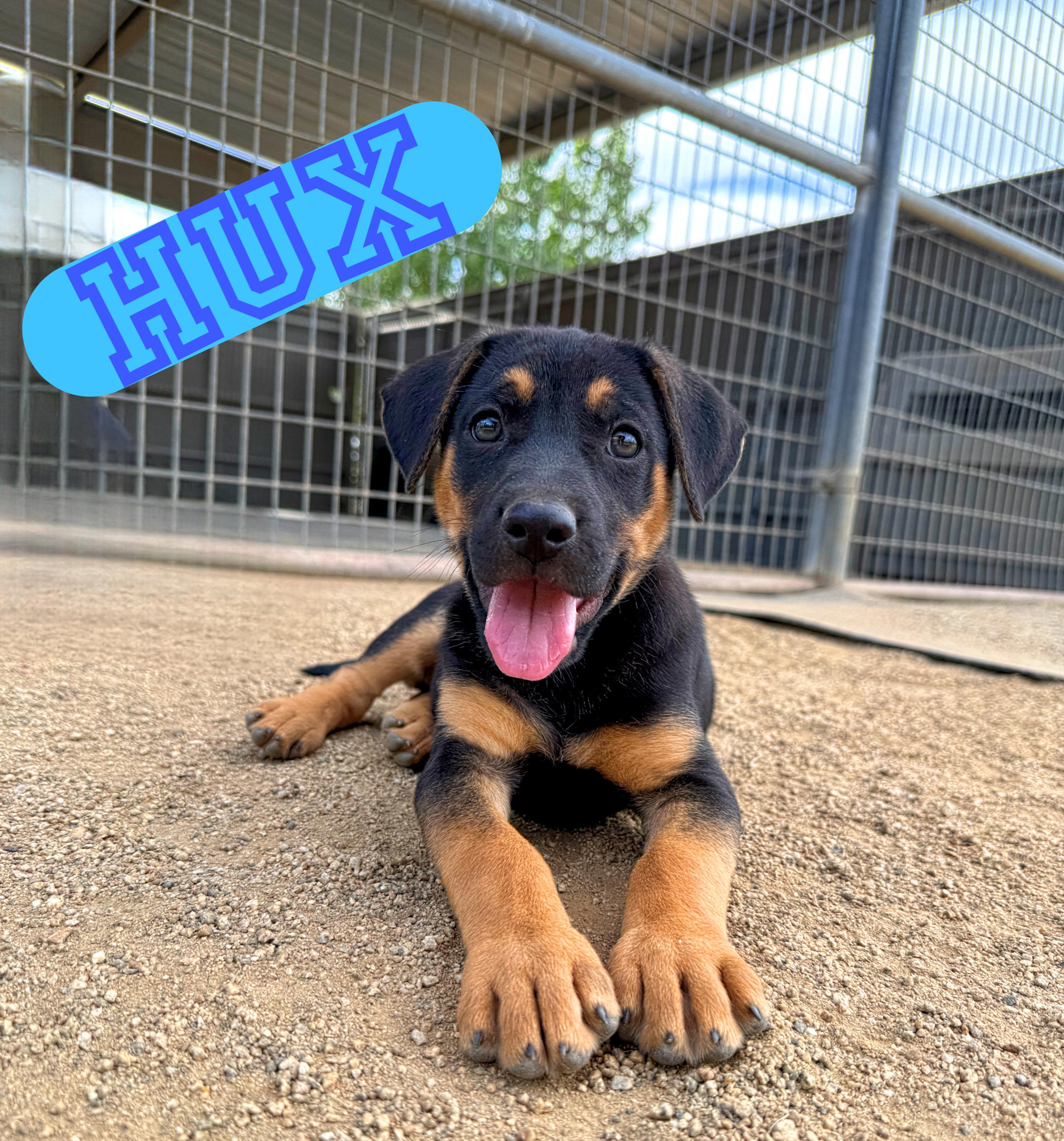 HUX
