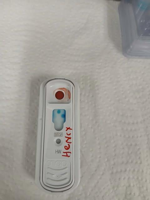 Enlarge Henry, a Adoptable mixed breed in Livingston, LA image 2/3