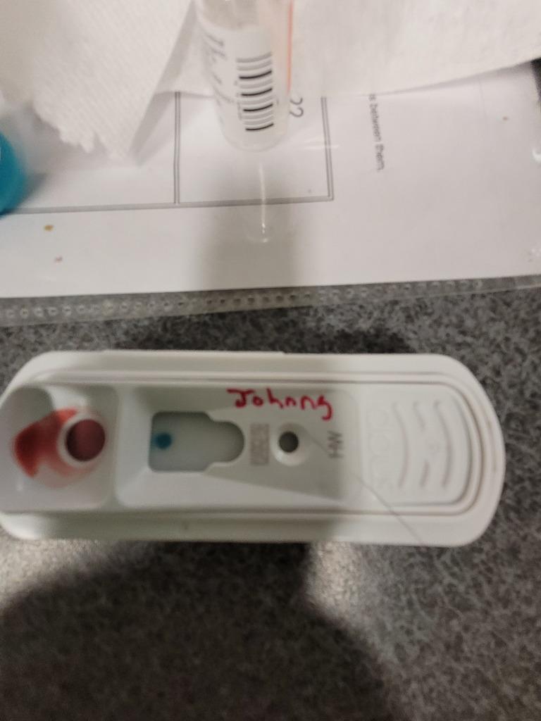 Johnny, a Adoptable mixed breed in Hopkinsville, KY image 1/4