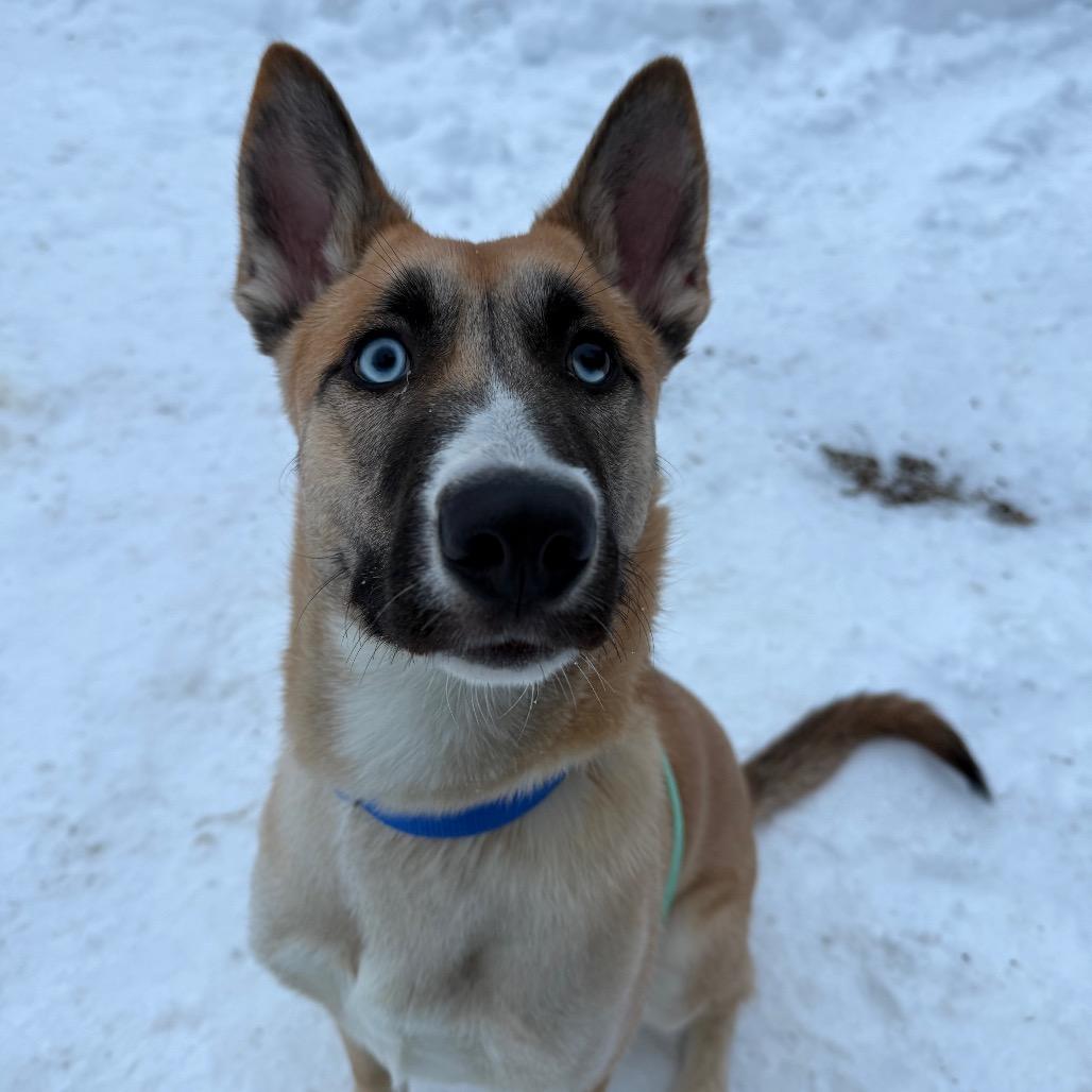 Tiny Tim thumbnail 2