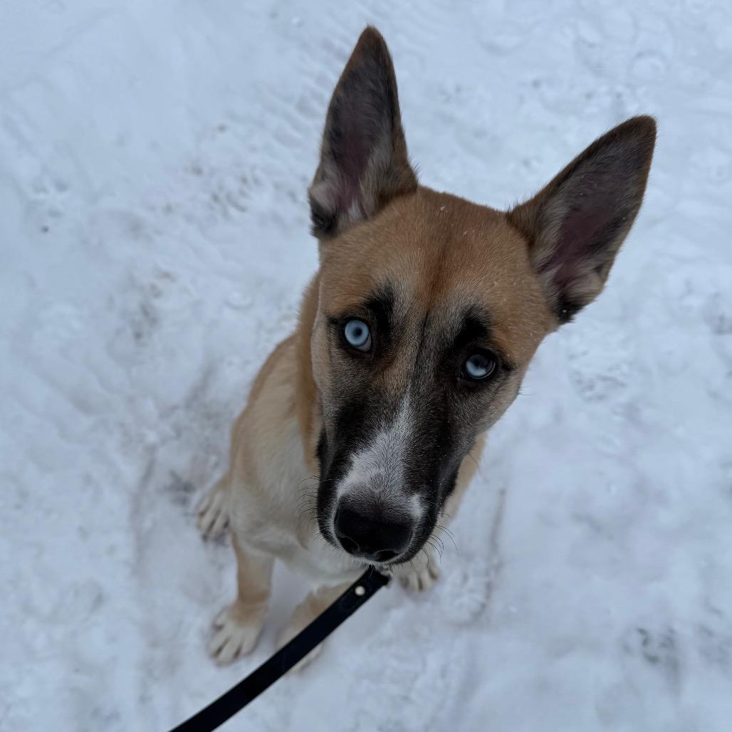 Tiny Tim thumbnail 3