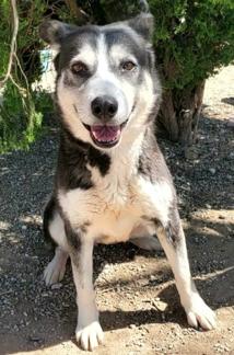 Looking for my forever family - I'm Tamara photo 4