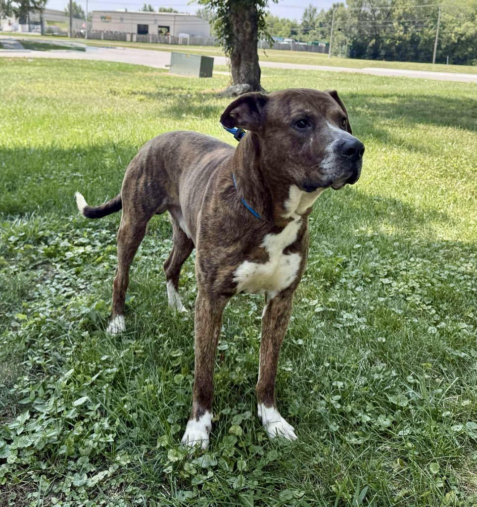 Braner (in a FOSTER home)