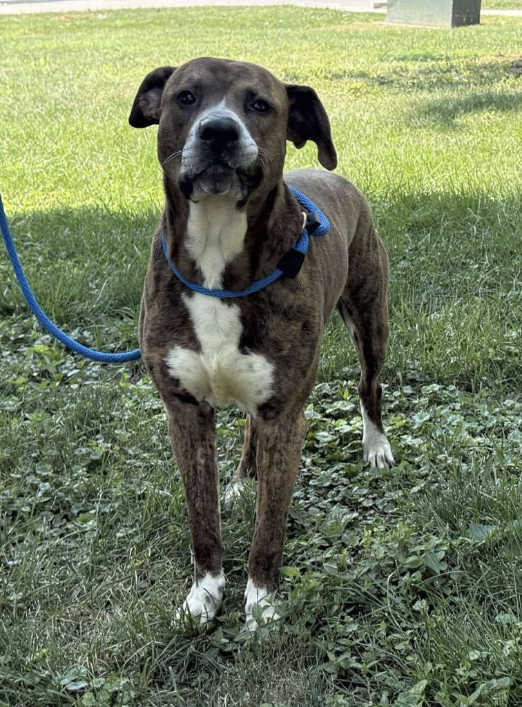 Braner (in a FOSTER home)