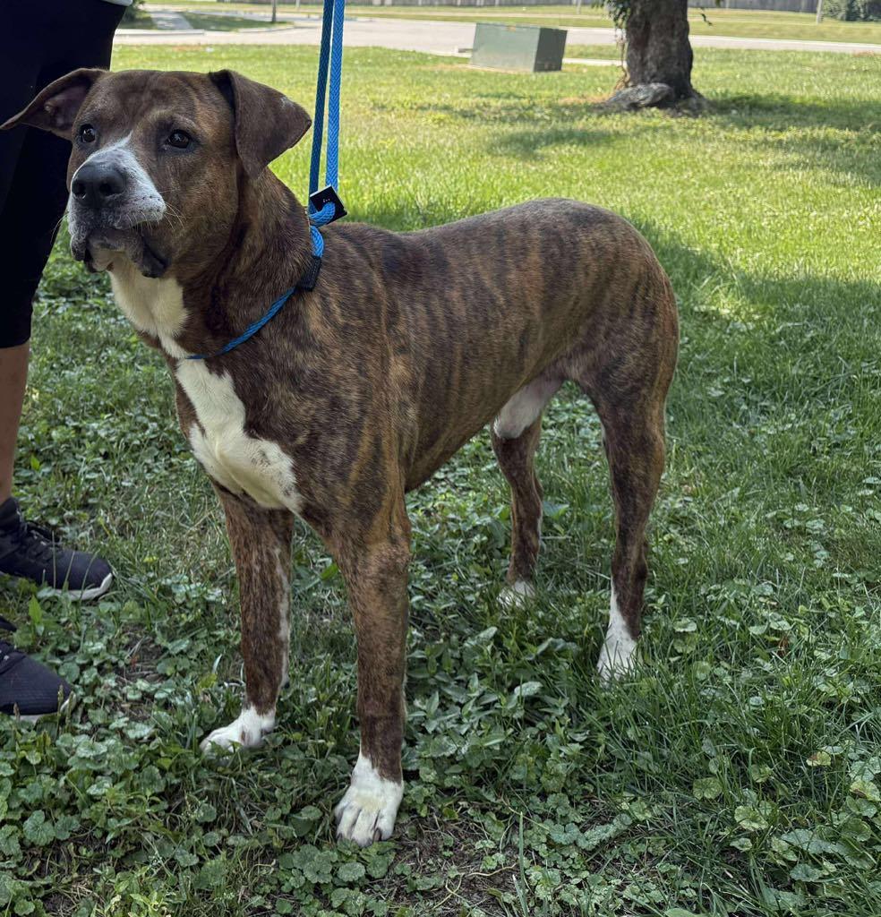 Braner (in a FOSTER home)