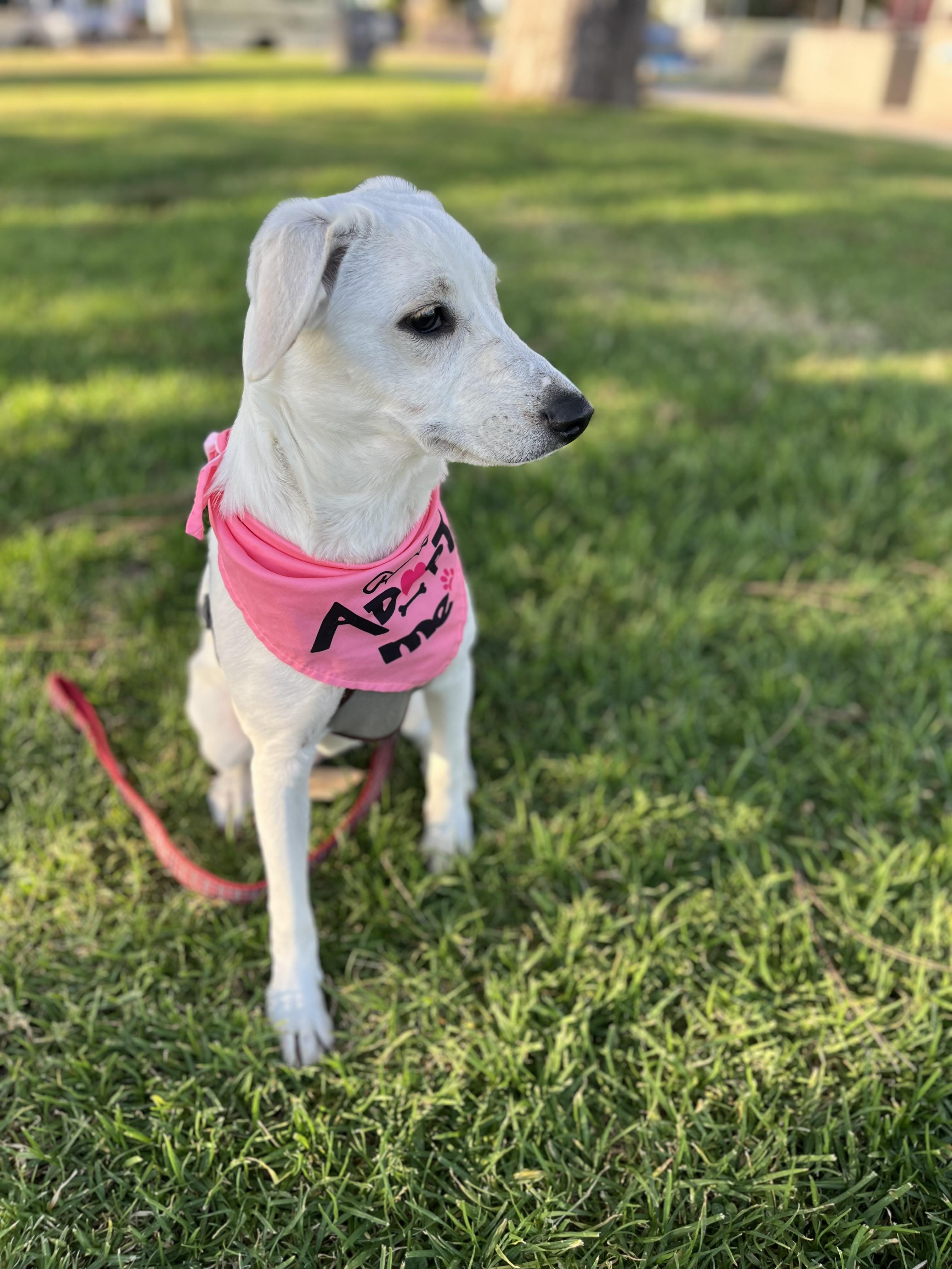 Sadie