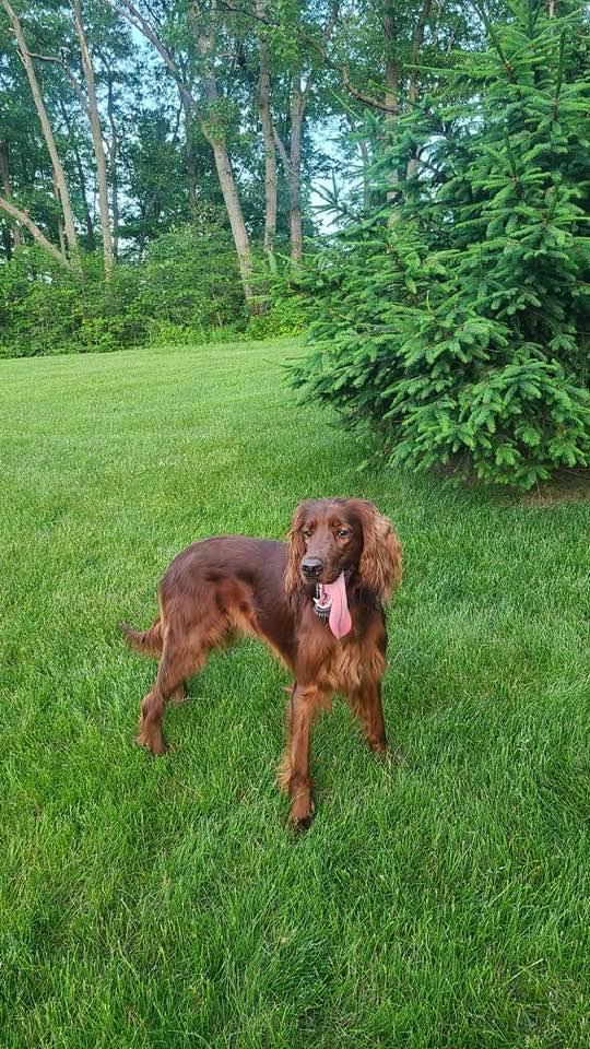 Lexie & Lily thumbnail 2