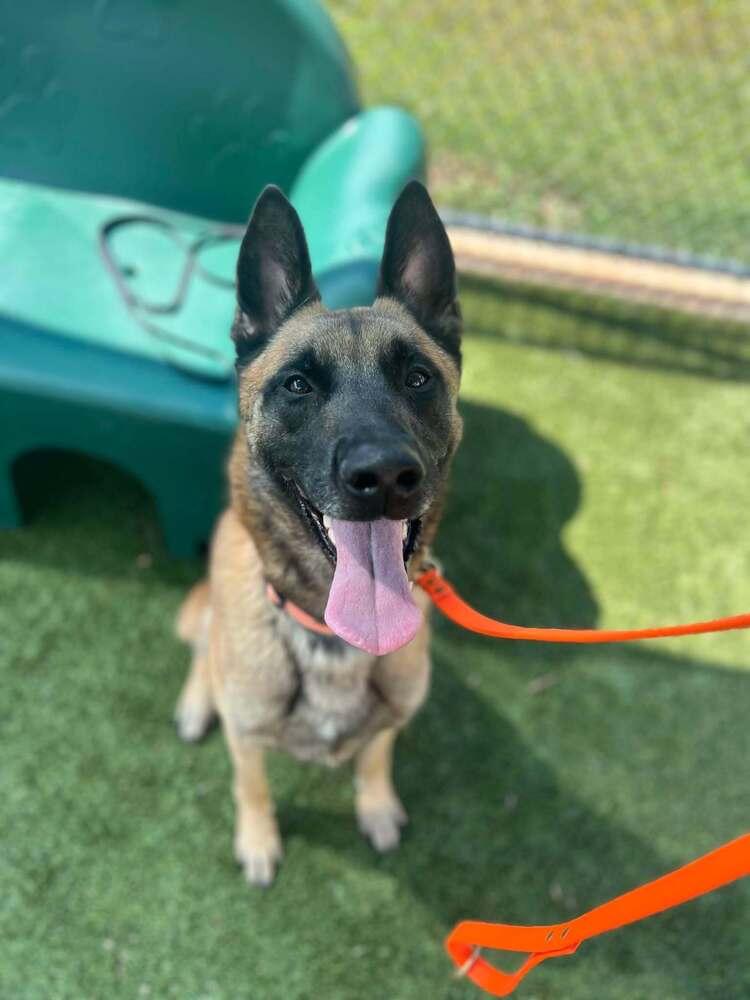 Bodie  Located In thumbnail 4