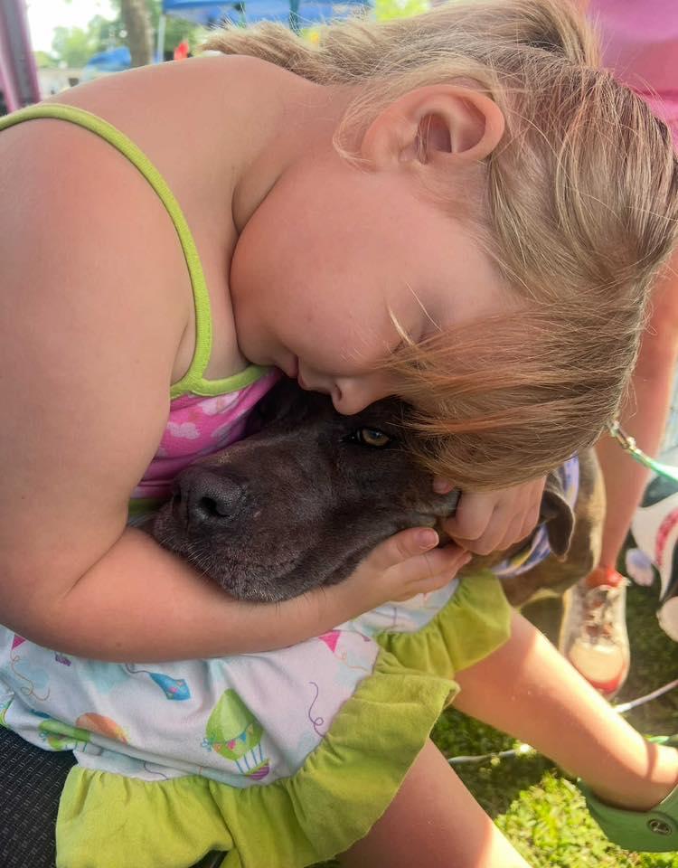 Enlarge Dona, a Adoptable mixed breed in Calera, AL image 3/6