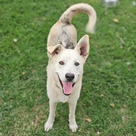 Elvis Presley (20260120-01) — thumbnail 2