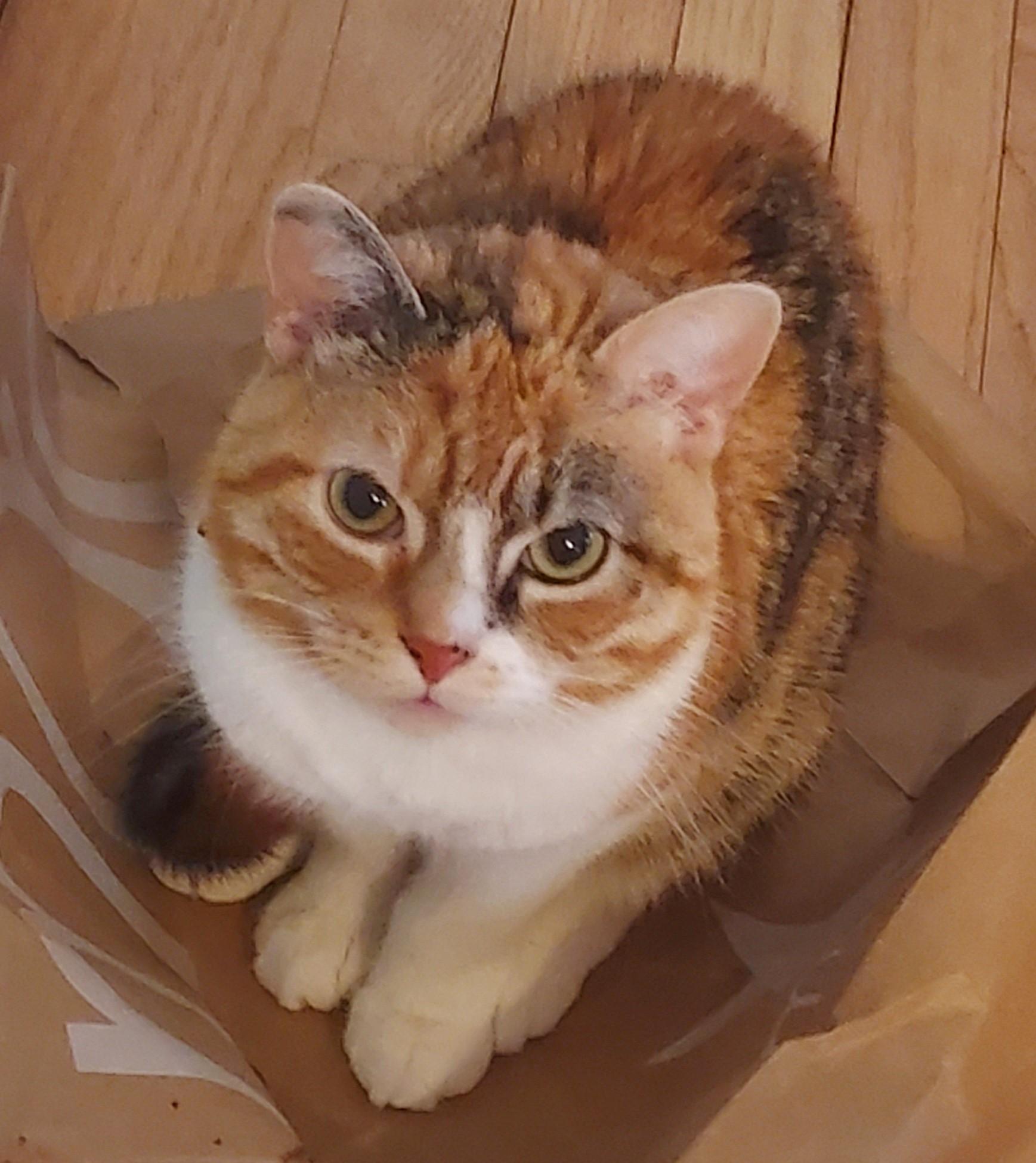 Mitzvah & Tovah thumbnail 3