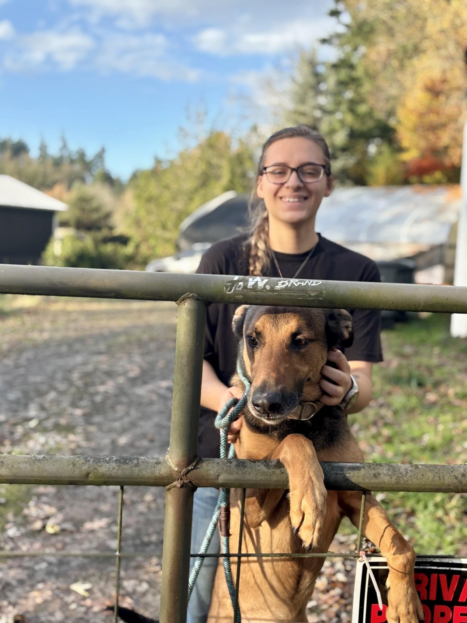 Enlarge Rocky, a Adoptable Shepherd in Philomath, OR image 5/6