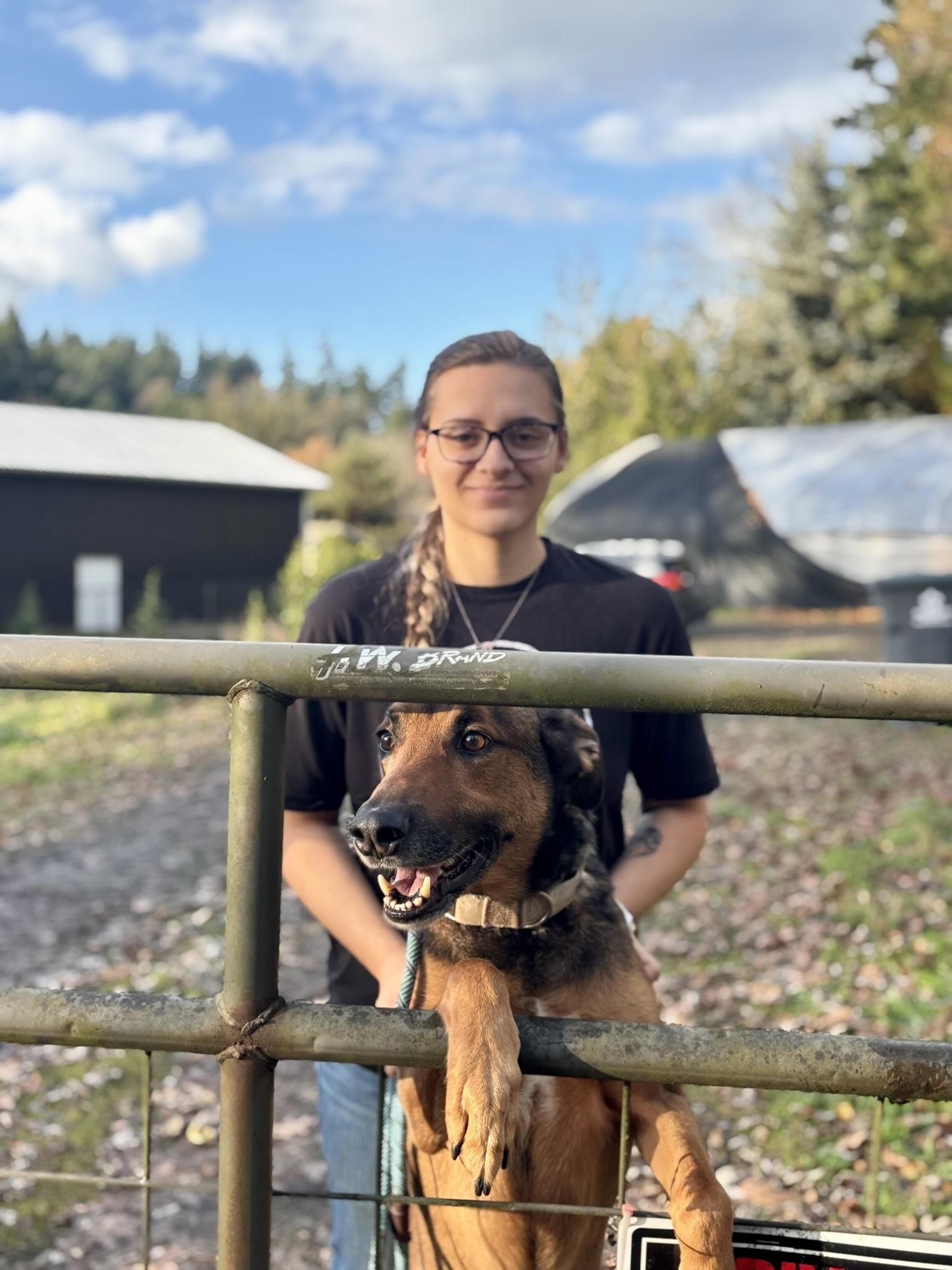 Enlarge Rocky, a Adoptable Shepherd in Philomath, OR image 3/6