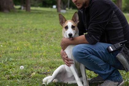 Janie, a Adoptable mixed breed in Kansas City, MO image 3/3