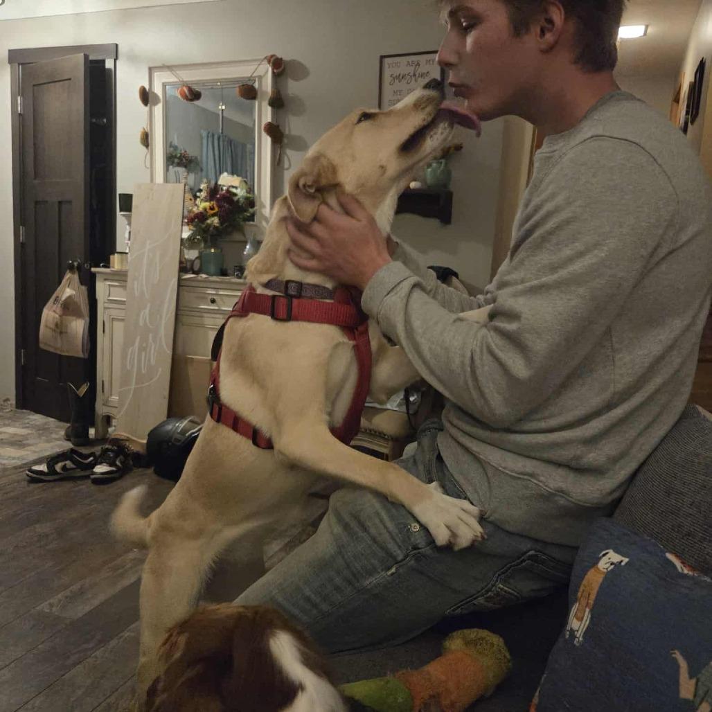 Enlarge Lucy, a Adoptable mixed breed in Cloquet, MN image 2/5