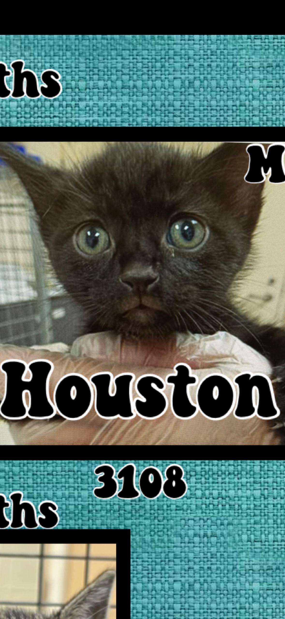 Houston