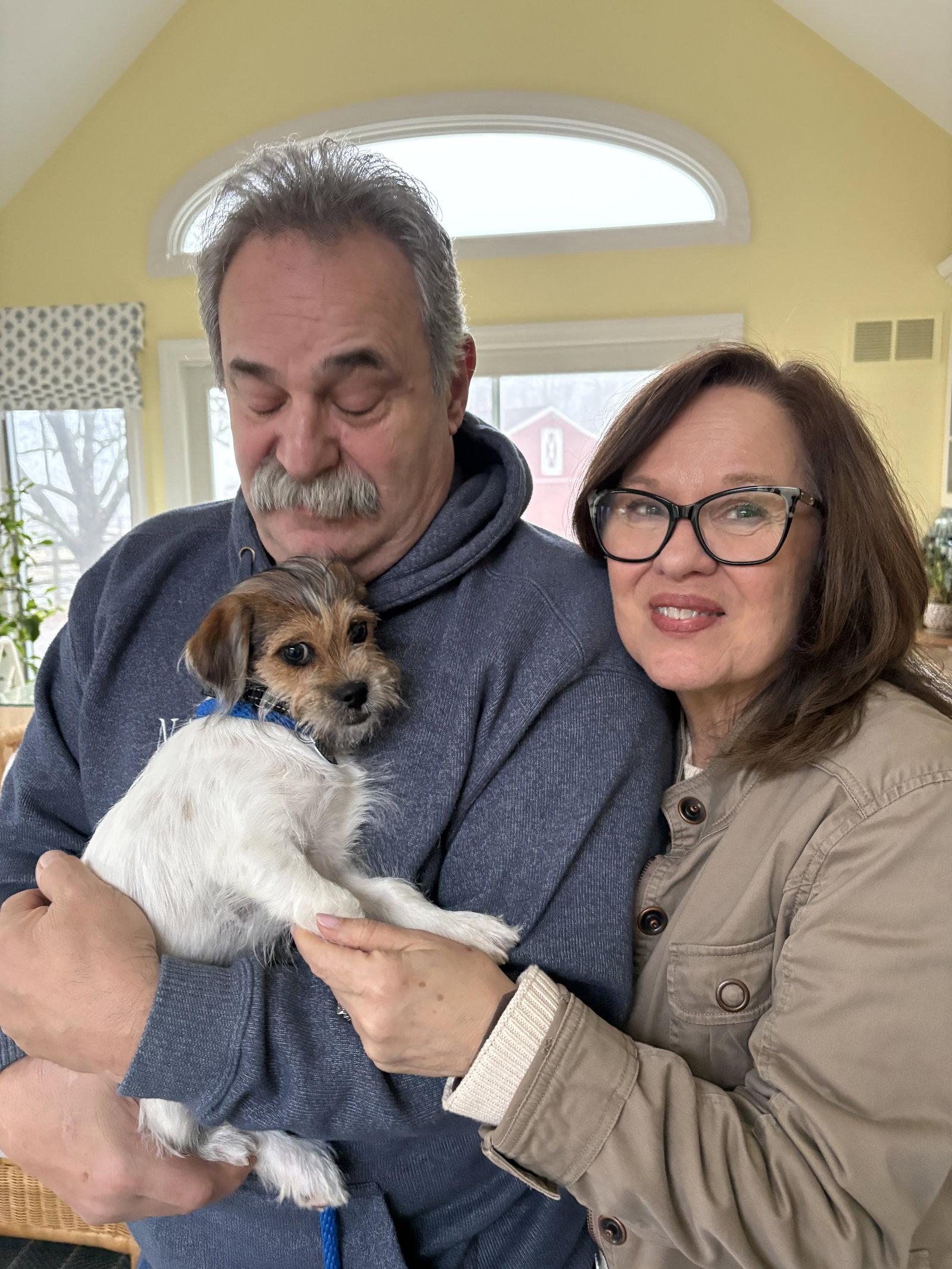 Enlarge Nathalie's Bryce TX, a Adopted Terrier in Boonton, NJ image 3/3