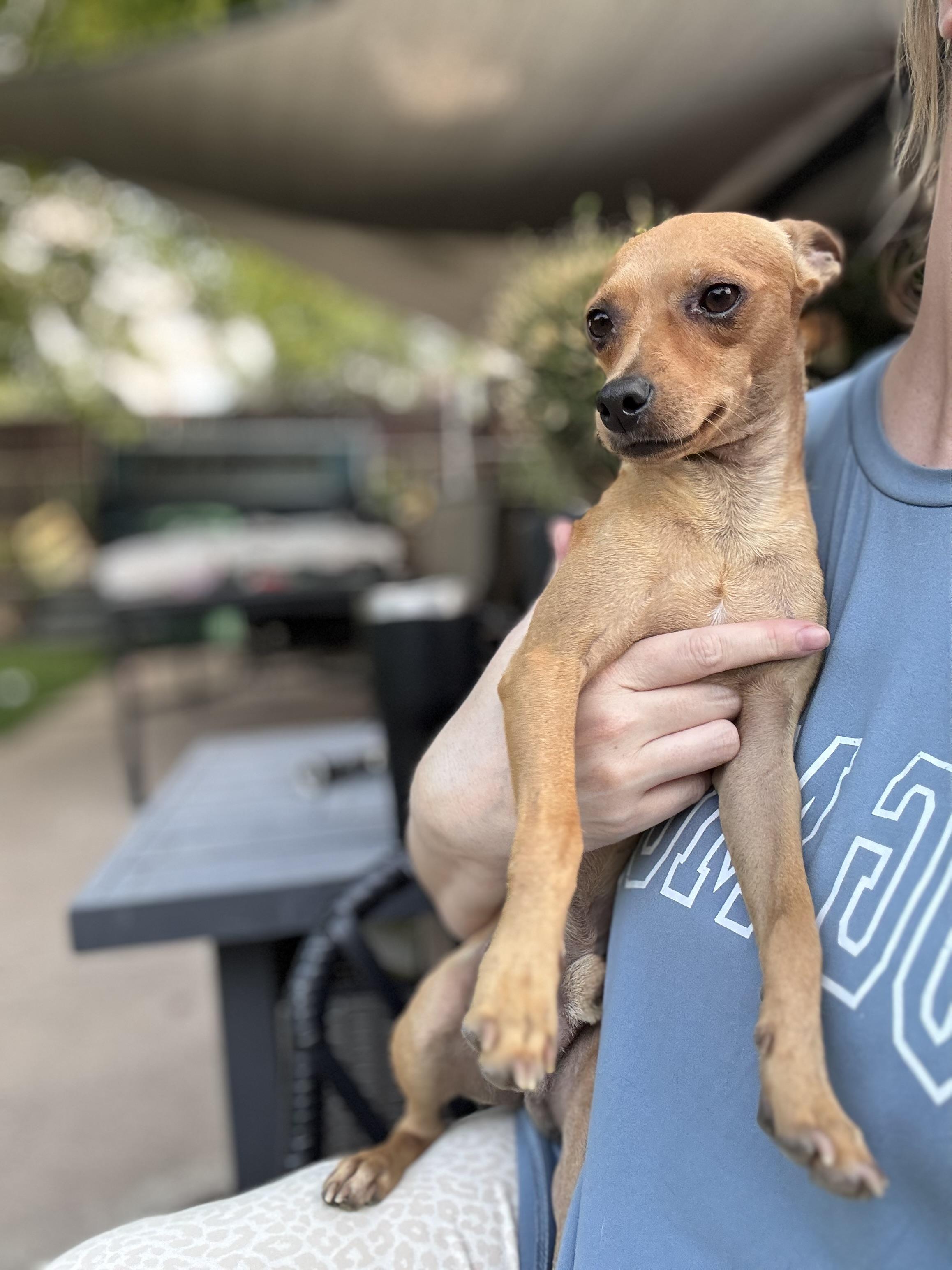 Chico