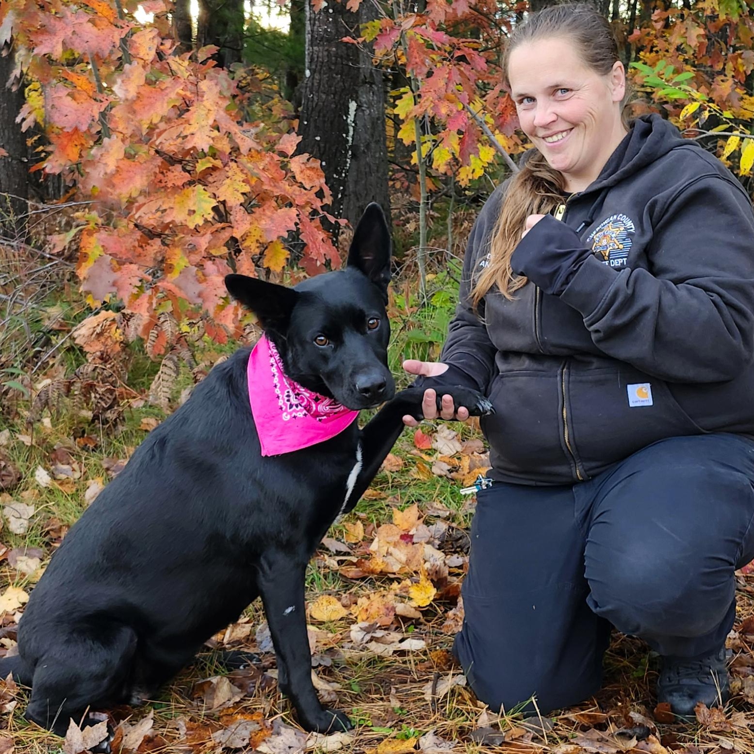 Kelly, an adoptable German Shepherd Dog in Cheboygan, MI, 49721 | Photo Image 4