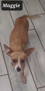Maggie — thumbnail 2