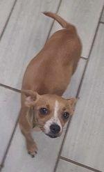 Maggie — thumbnail 3