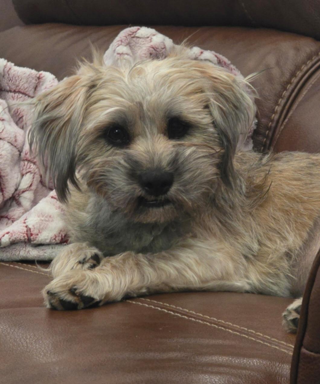 Millie — thumbnail 4