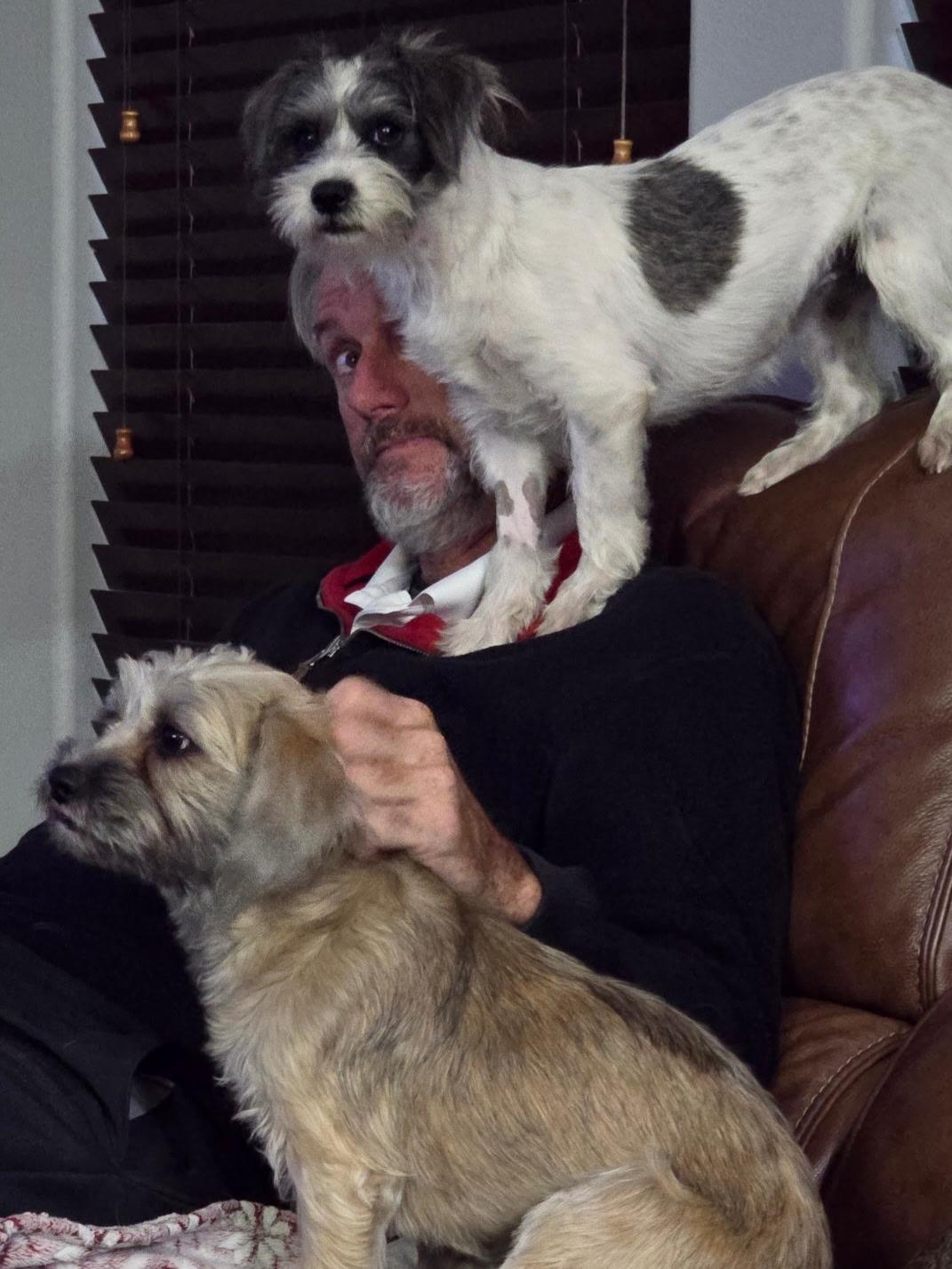 Millie — thumbnail 5