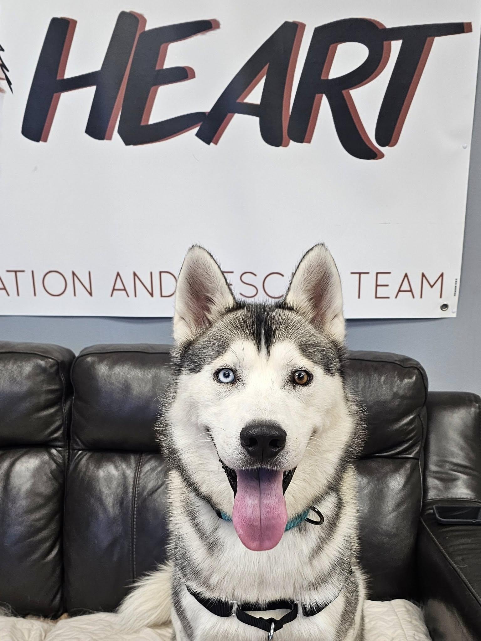 Sebastian thumbnail 2