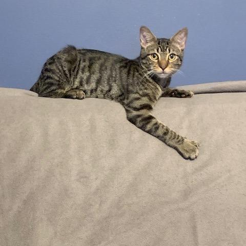 Jarod — thumbnail 2