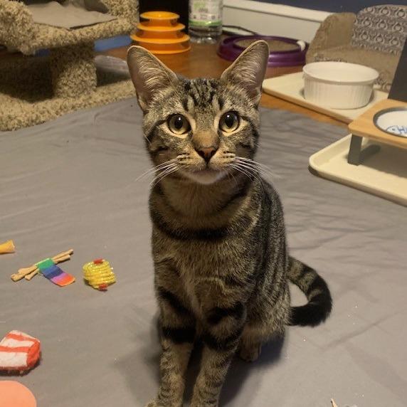 Jarod — thumbnail 3