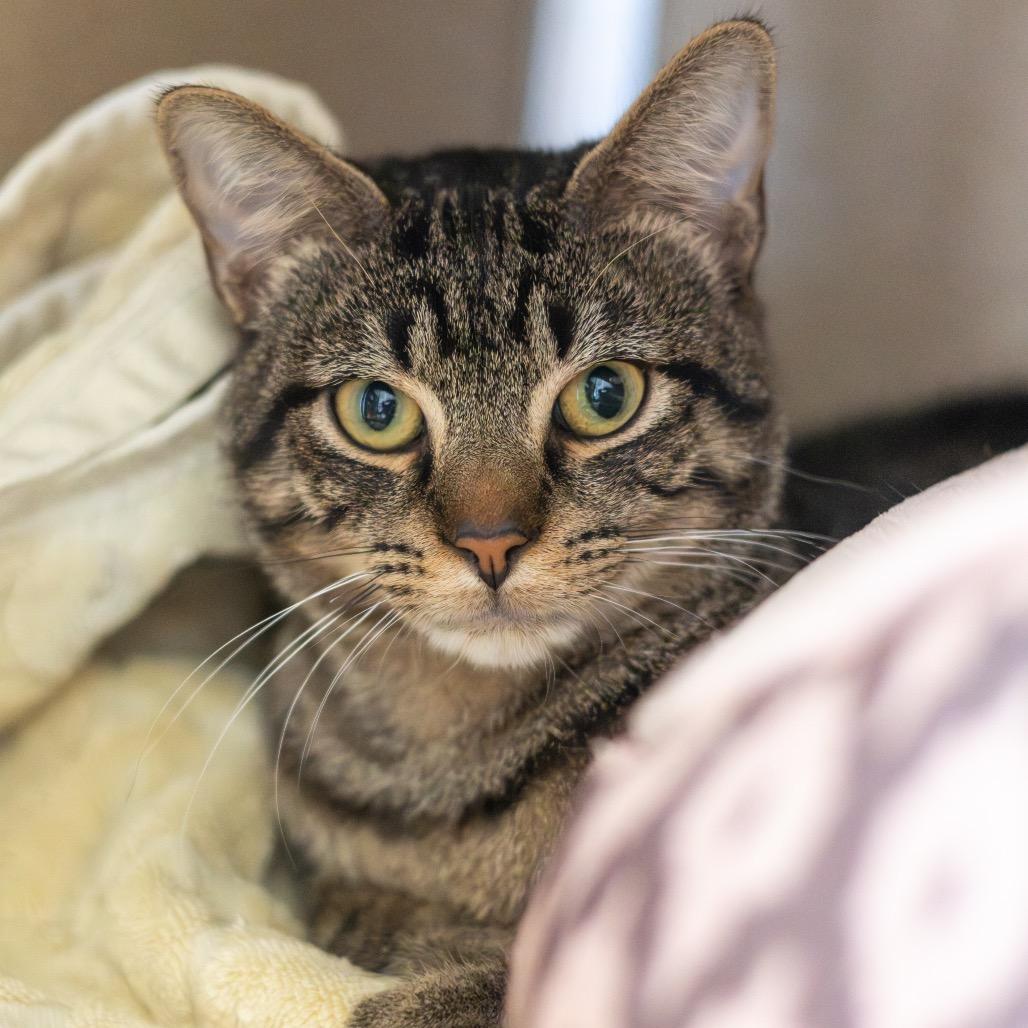 Jarod — thumbnail 5