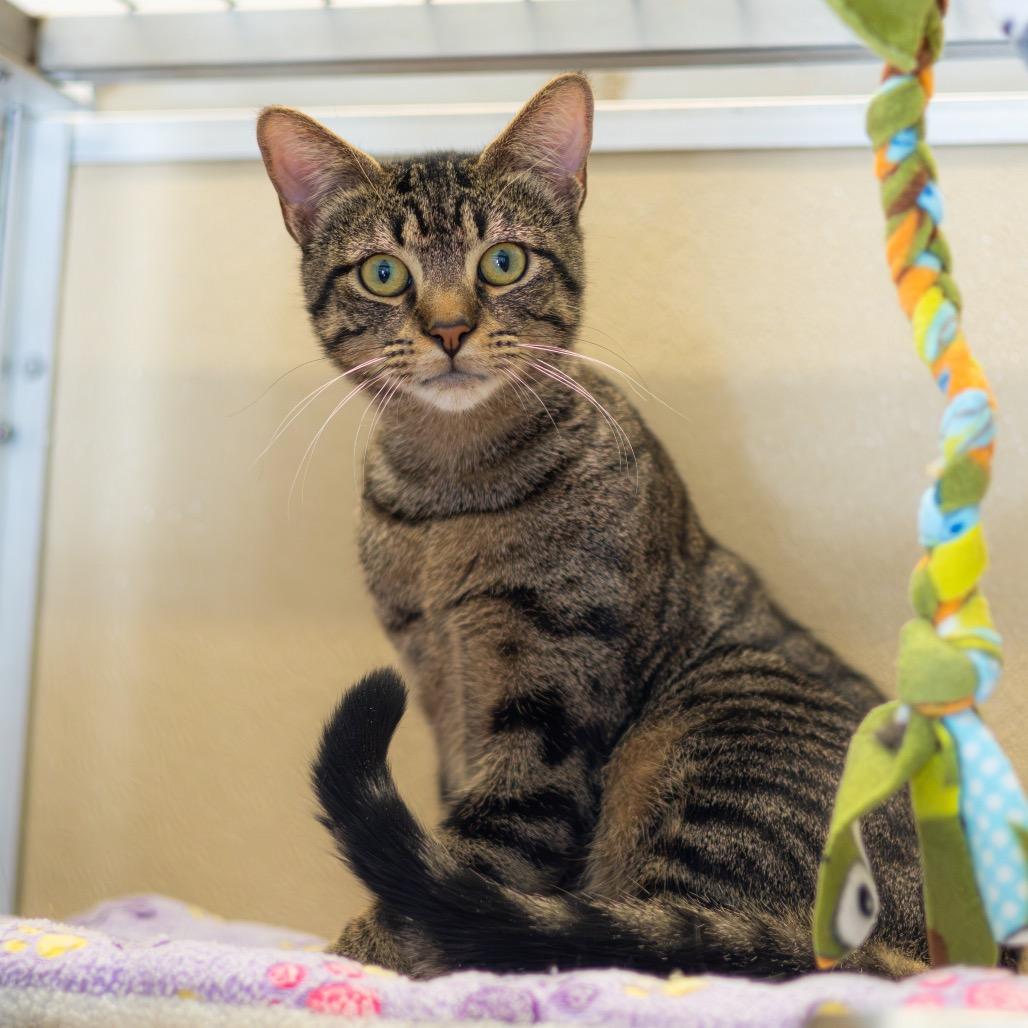 Jarod — thumbnail 6