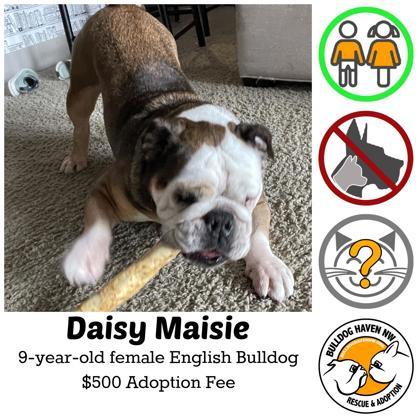 Daisy Maisie thumbnail 1