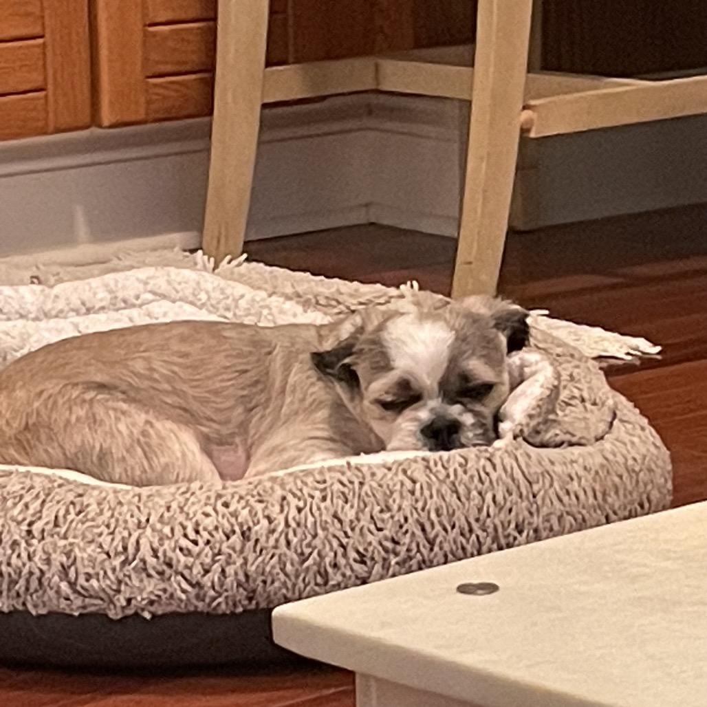 Mr. Peabody thumbnail 5