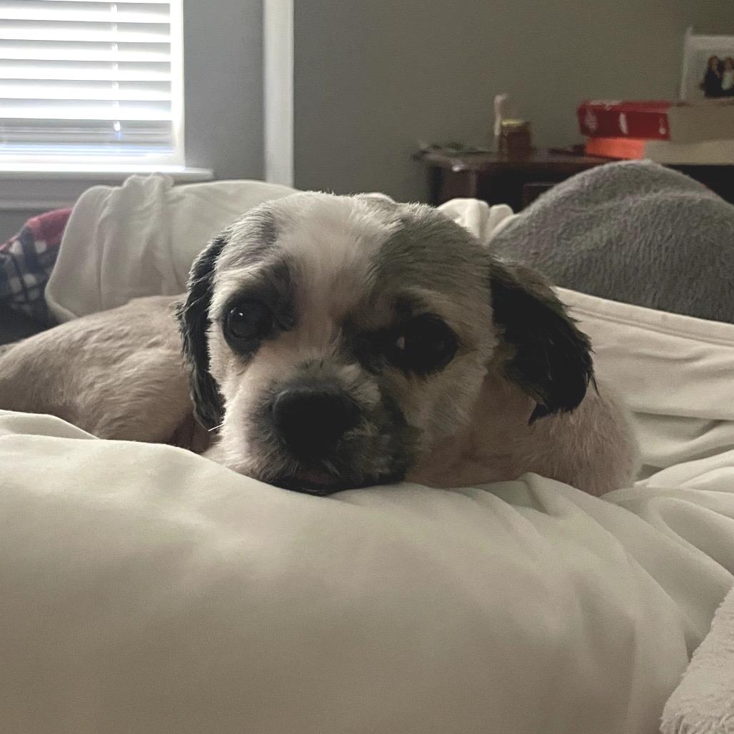 Mr. Peabody thumbnail 6