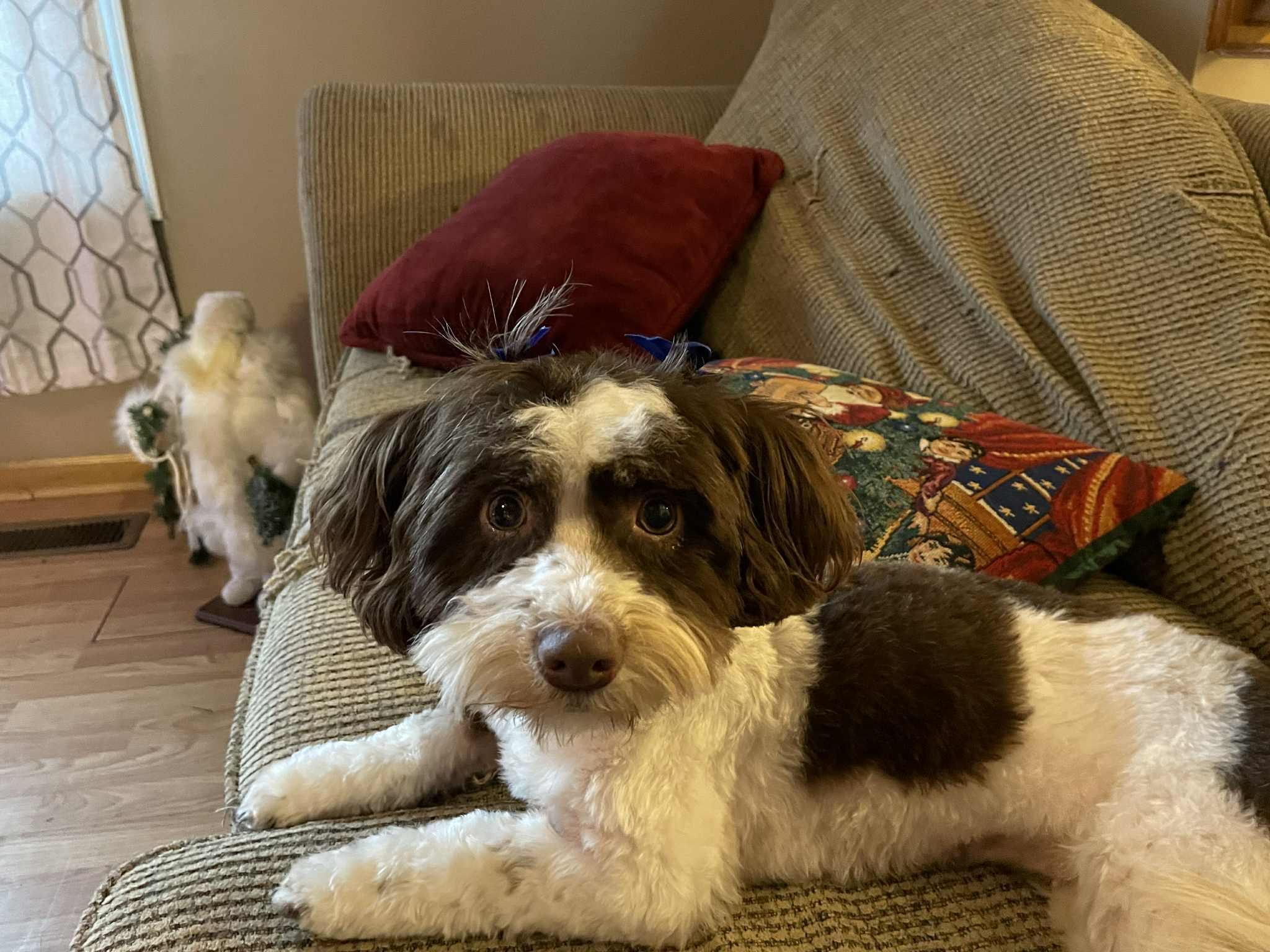 Willow - Courtesy Listing