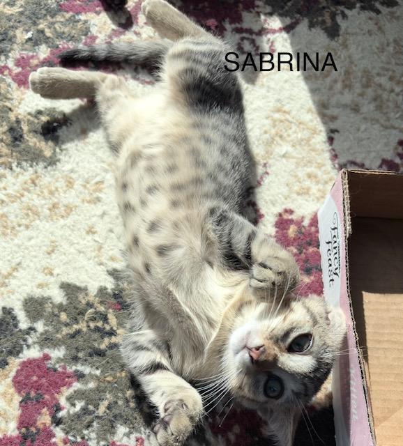 Sabrina