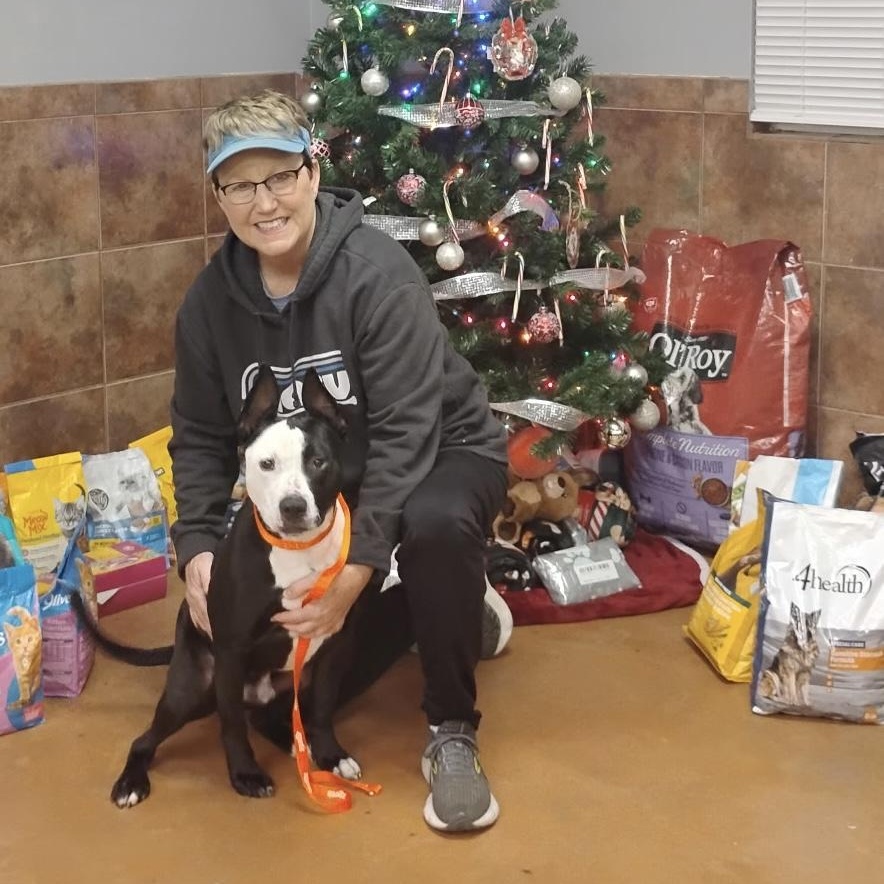 Poseidon, an adoptable mixed breed in Heber Springs, AR image 5/5