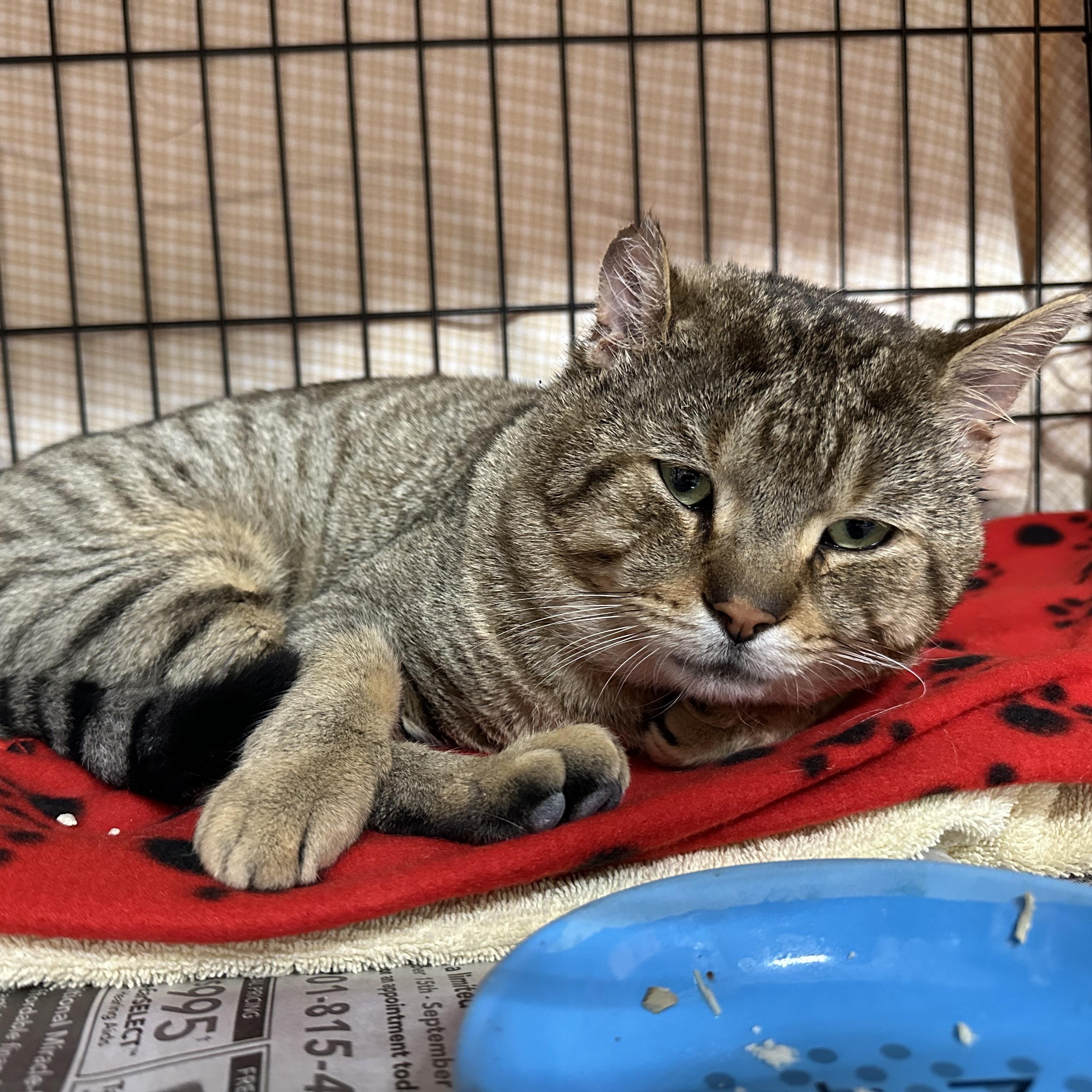 Otis Fiv+ Handsome Boy